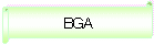 BGA
